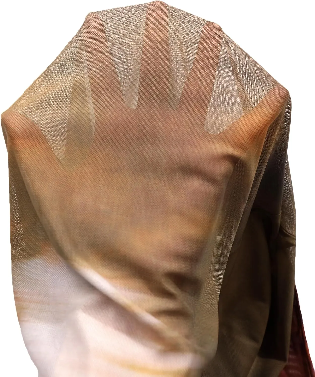 Avanova Women Sexy Sheer Mesh See Through Top Mock Neck Long Sleeve Shirt Clubwear