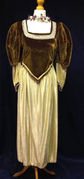 Medieval Lady In Waiting