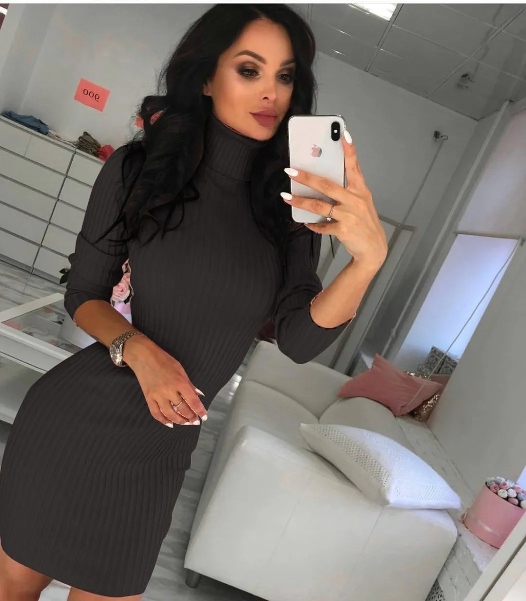 Sexy Turtleneck Slim Long Sleeve Dress
